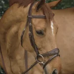 Dy'on® Anatomic Bridle