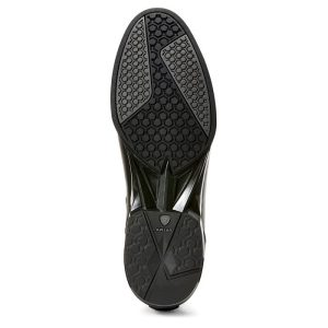 Shop Secondary Image